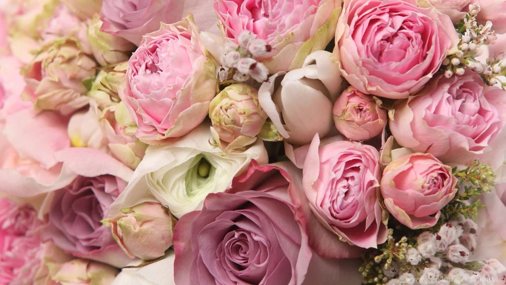 Vintage Rose Wallpapers 69, Rose Flower Images, Rose Pictures And ...