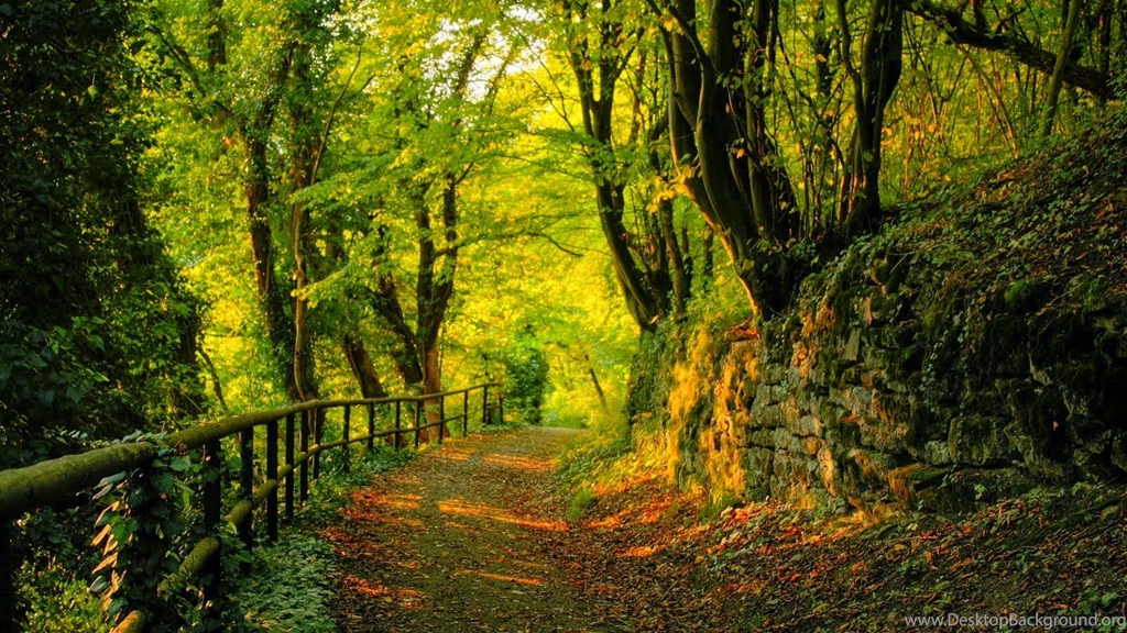 Best World Images Hd hd Wallpapers Free Photo   Fresh Wallpapers 2014