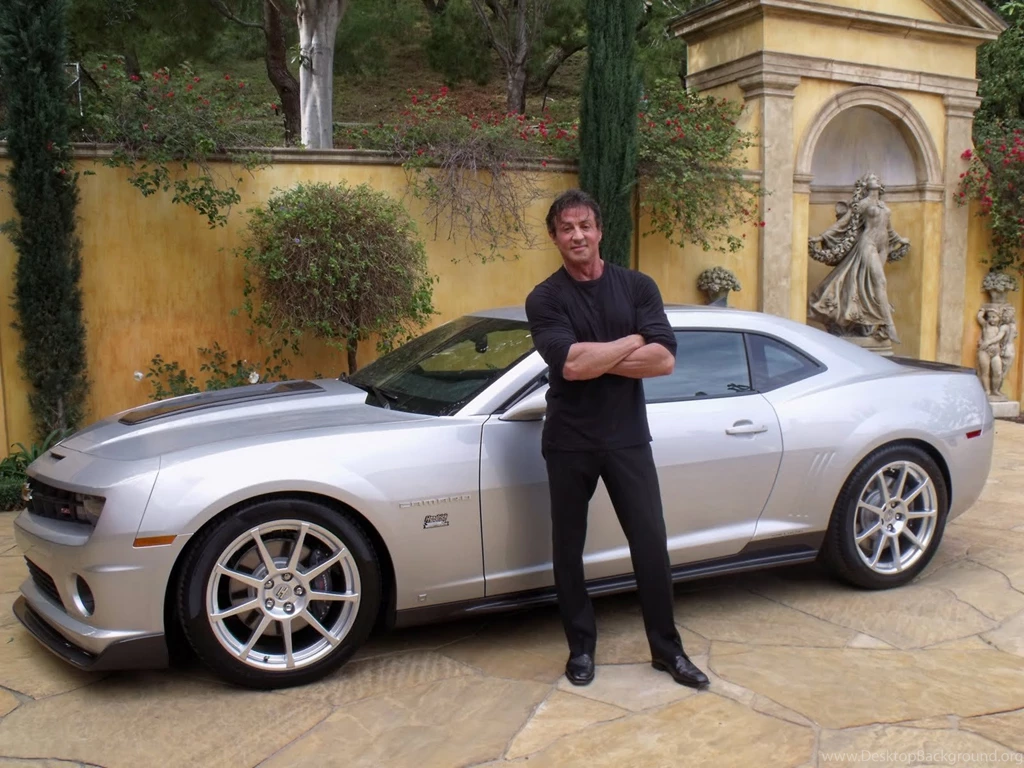 Dionne Beard: Sylvester Stallone Wallpapers Hd