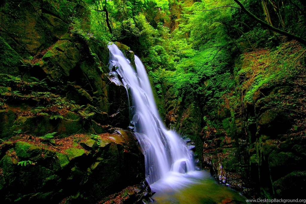 Waterfalls: FOREST WATERFALLS Green Nature Falls Free Wallpapers ...