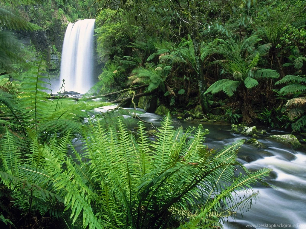Hopetoun Falls / Otway Ranges / Victoria / Australia Wallpapers ...
