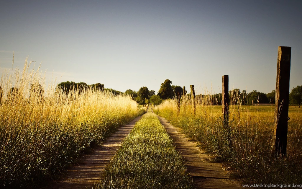 Country Summer Tumblr Wallpaper, Size: 2880x1800