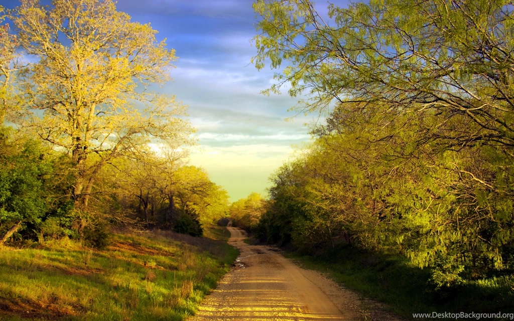Download Wallpapers 3840x2400 Road, Country, Trees, Summer Ultra HD ...