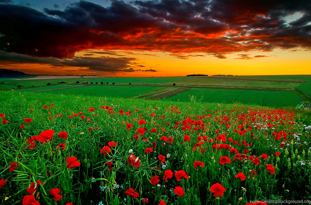 Best Natural Desktop Backgrounds