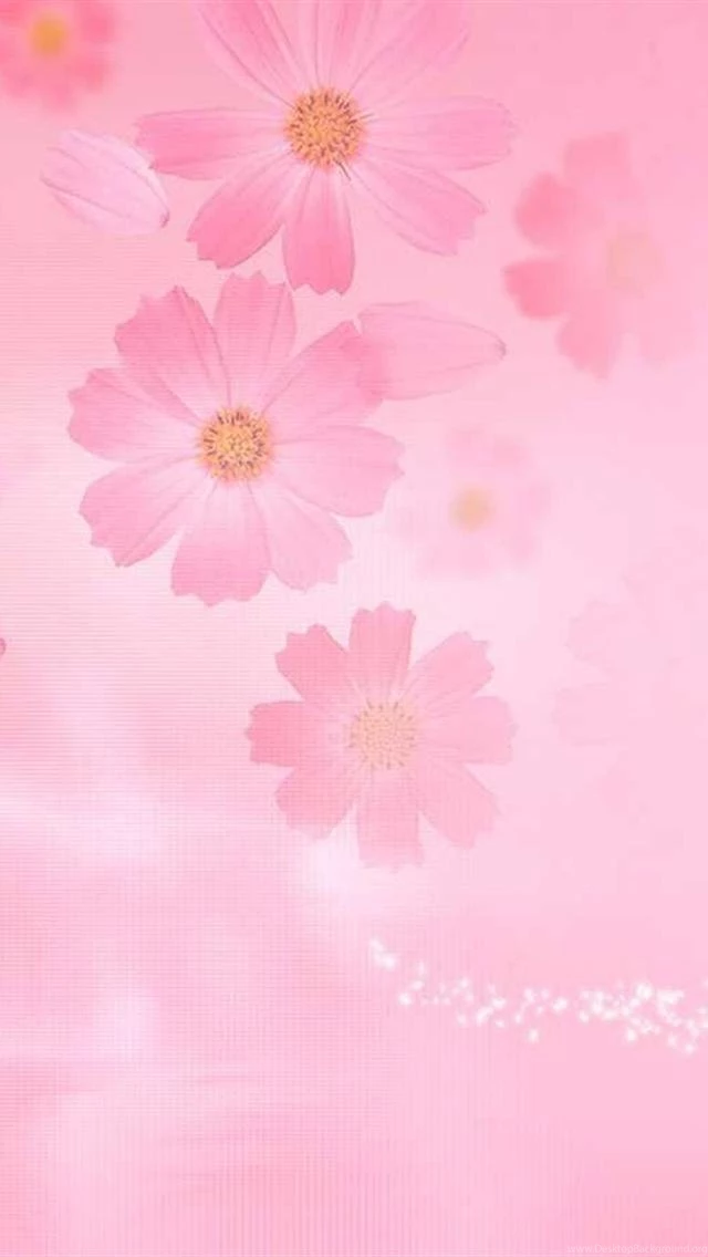 Pink Flowers iPhone 5 Wallpapers Hd 640x1136 Wallpapers For Iphone 5