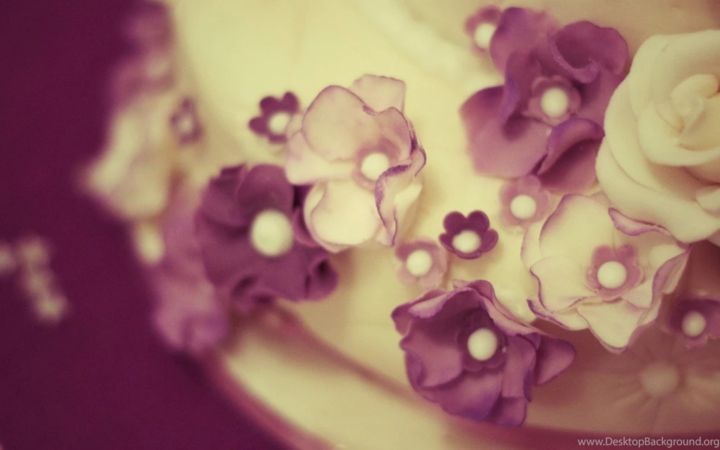 Cake Close Up Flowers Purple White HD Wallpapers   FreeWallsUp