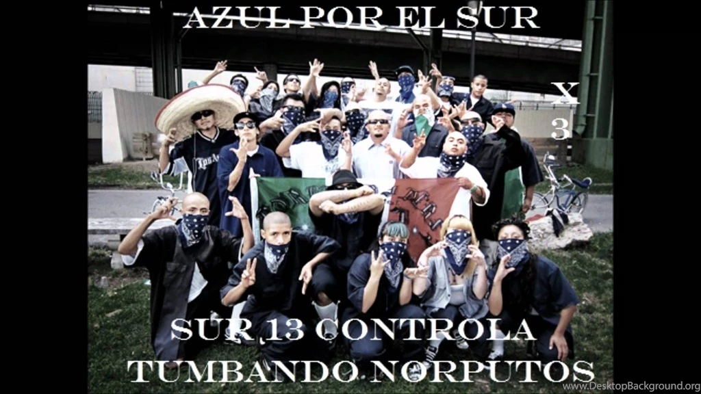 TONGO SUR 13 YouTube