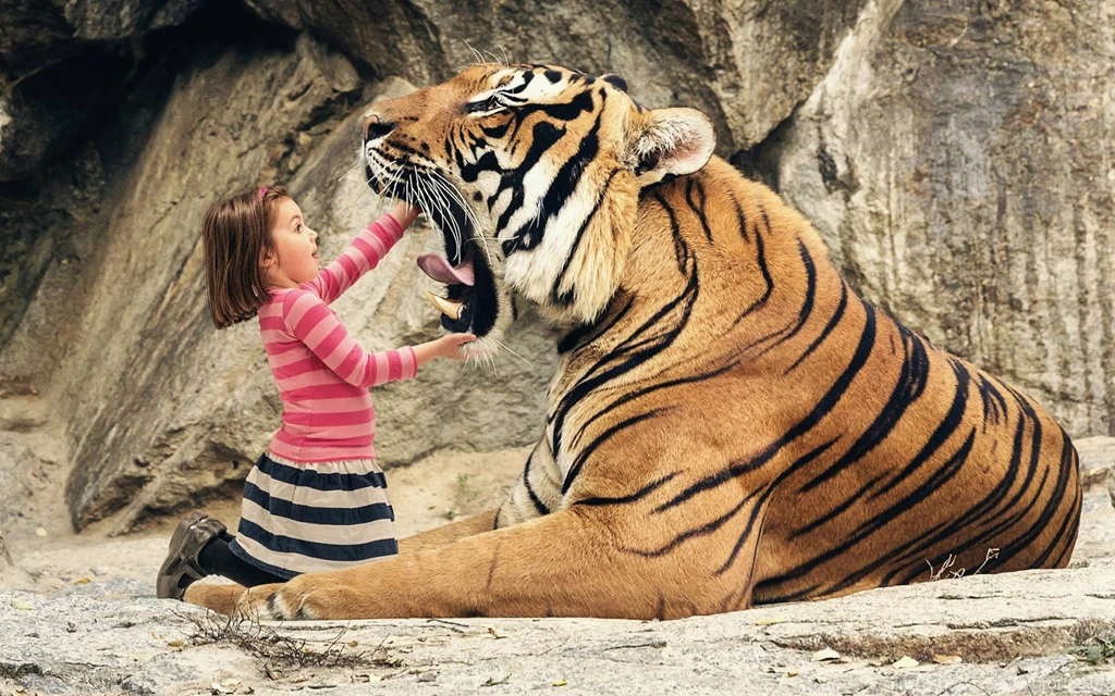Funny Wallpapers For Girls Wallpapers Zone