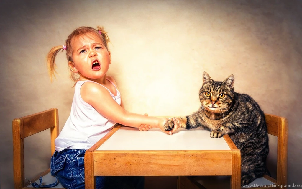 Funny Wallpaper Backgrounds And Funny Pics Best Collection