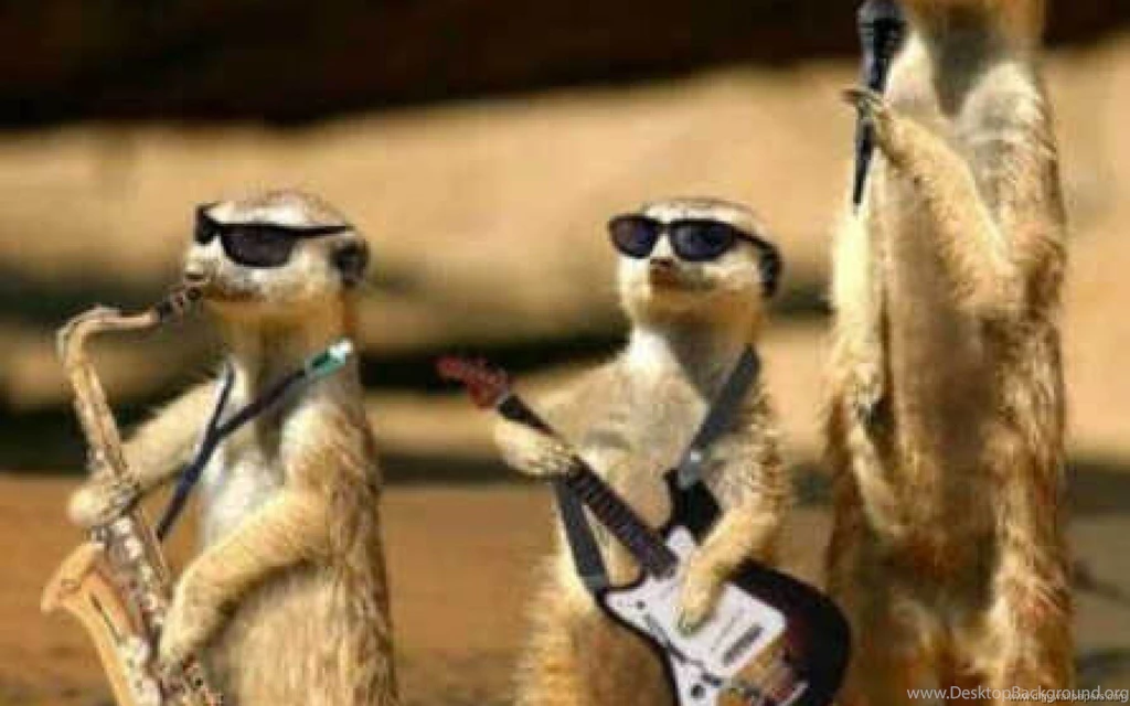 Picture Bollywood Cute Nature Girl Phone Funny Wallpapers ...