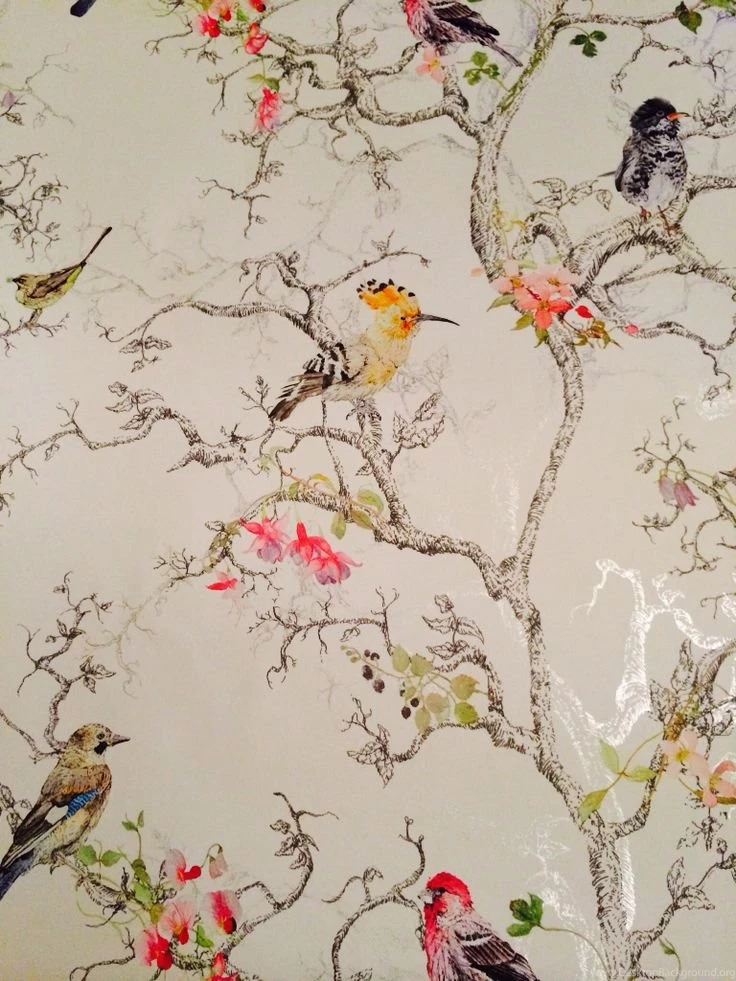 1000+ Ideas About Bird Wallpapers On Pinterest