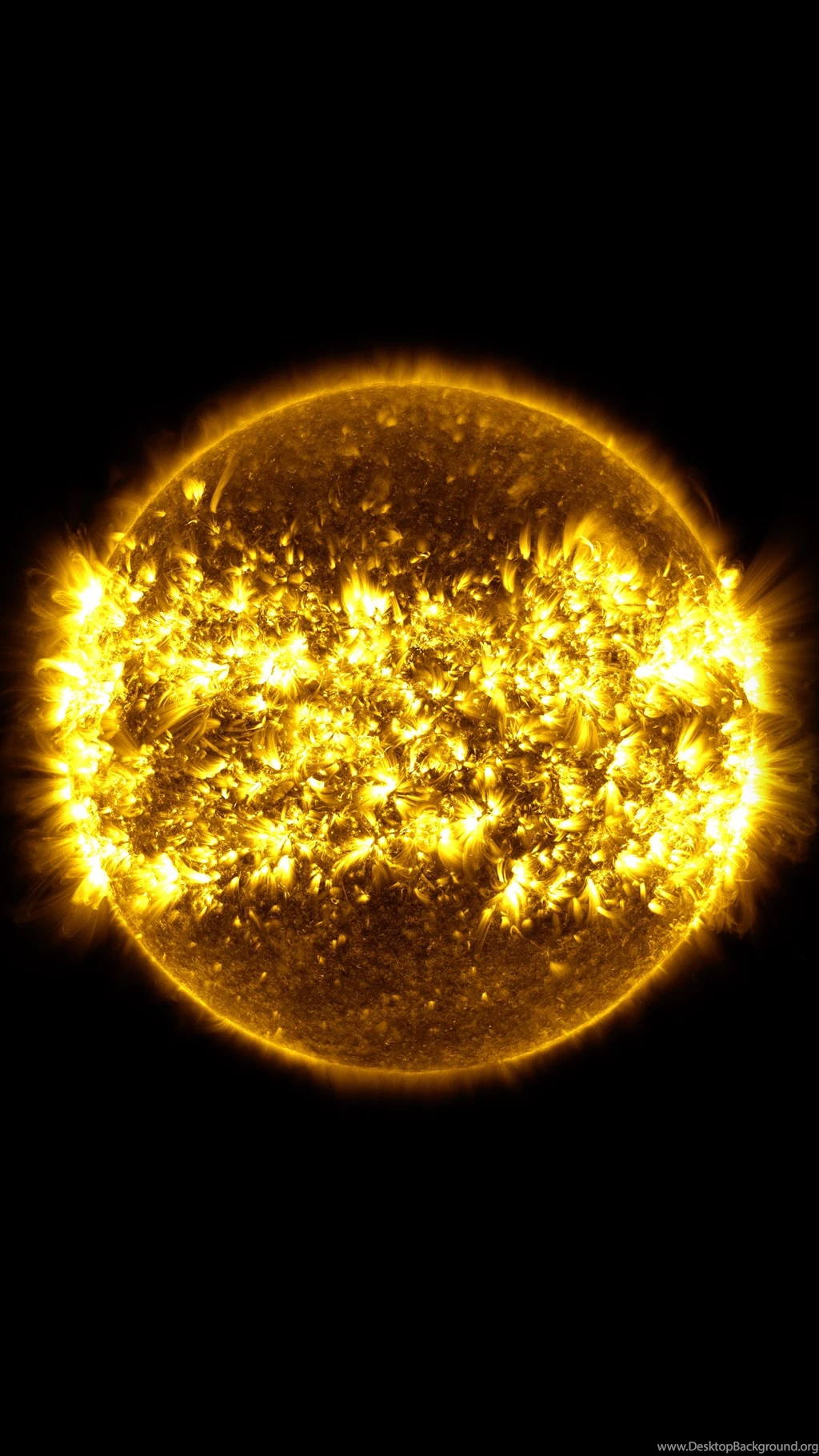 GMS: SDO: Year 6