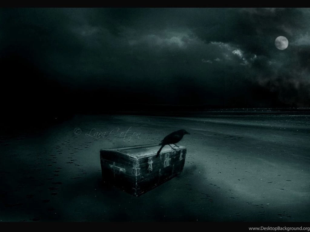 Crow Wallpapers