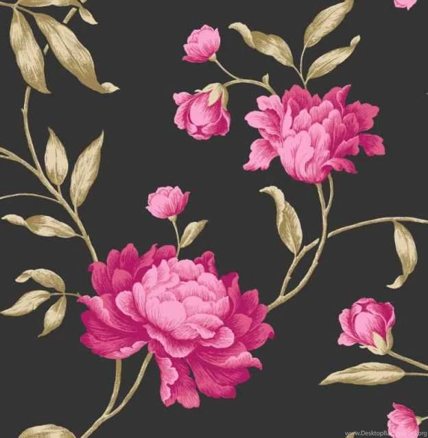 Georgina Black Fuschia Pink Floral Wallpapers 14856 On PopScreen