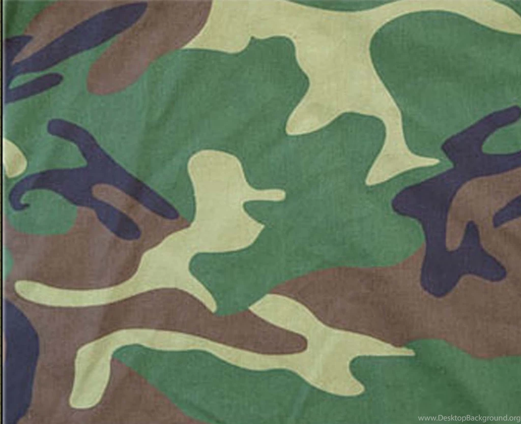 Camouflage: July 2010