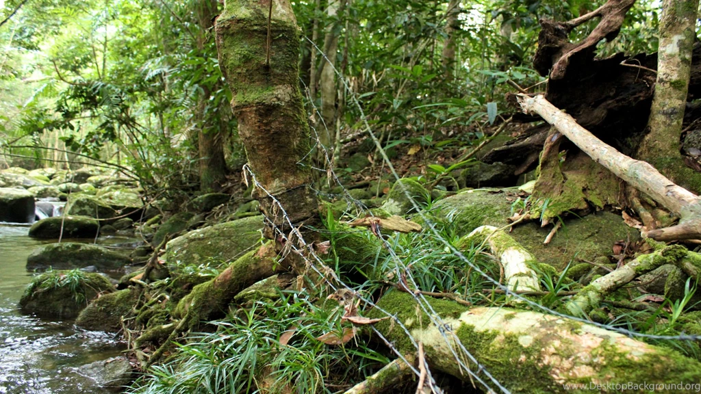 Download Woodland Camo Wallpapers 240x320