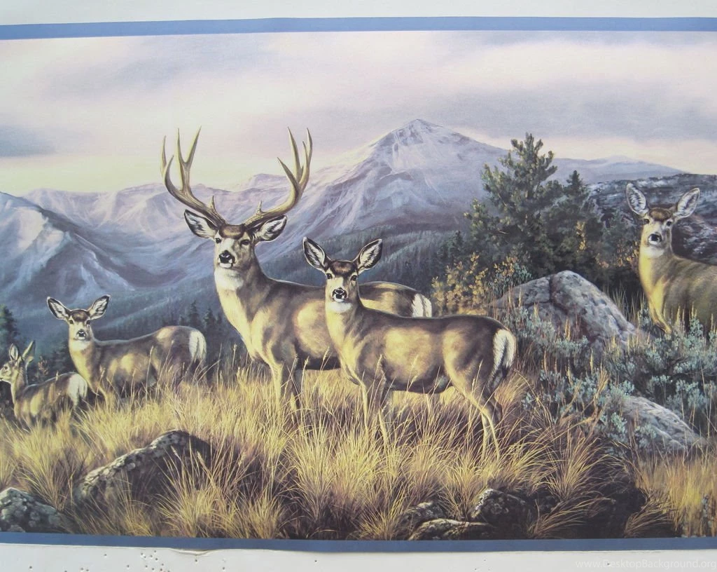 DEER BUCK DOE HUNTING In The MOUNTAINS Wallpapers Border 9 On PopScreen