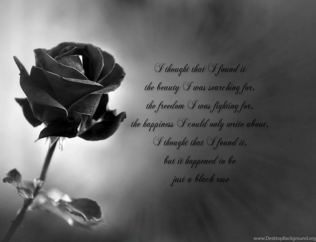 Flowers: Black Rose Sad Words Wallpapers For Desktop For High ...