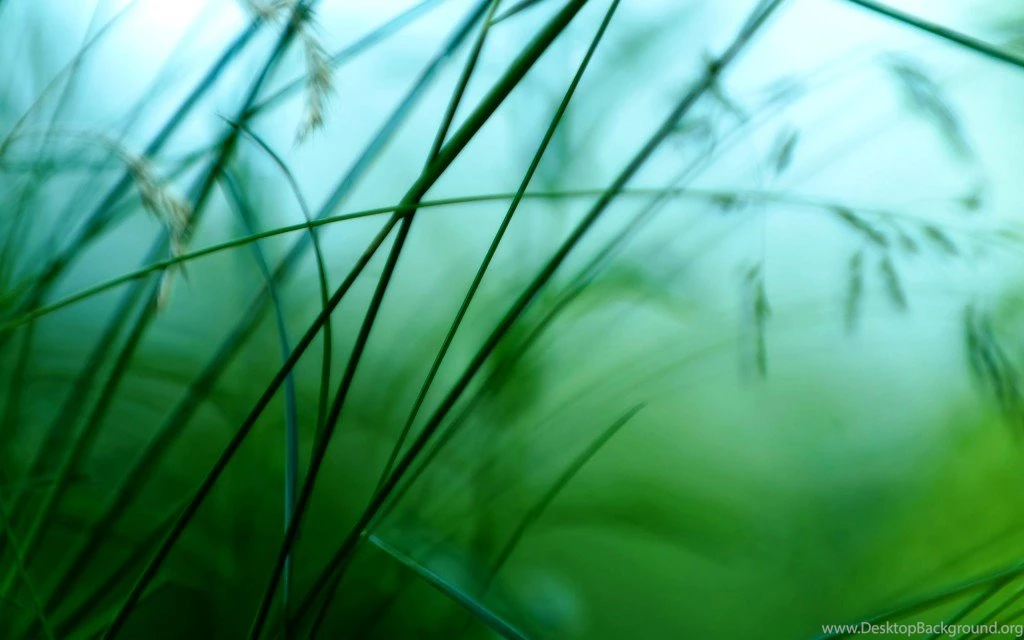 Free Nature Photos HD Wallpapers