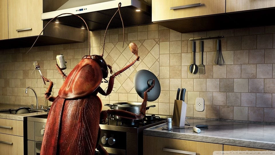 Bug HD Desktop Wallpapers : High Definition : Fullscreen : Mobile