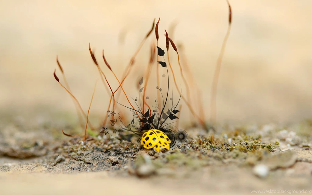 Yellow Bug Wallpapers