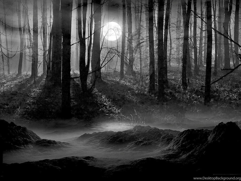 Pins For: Creepy Forest Wallpapers From Pinterest