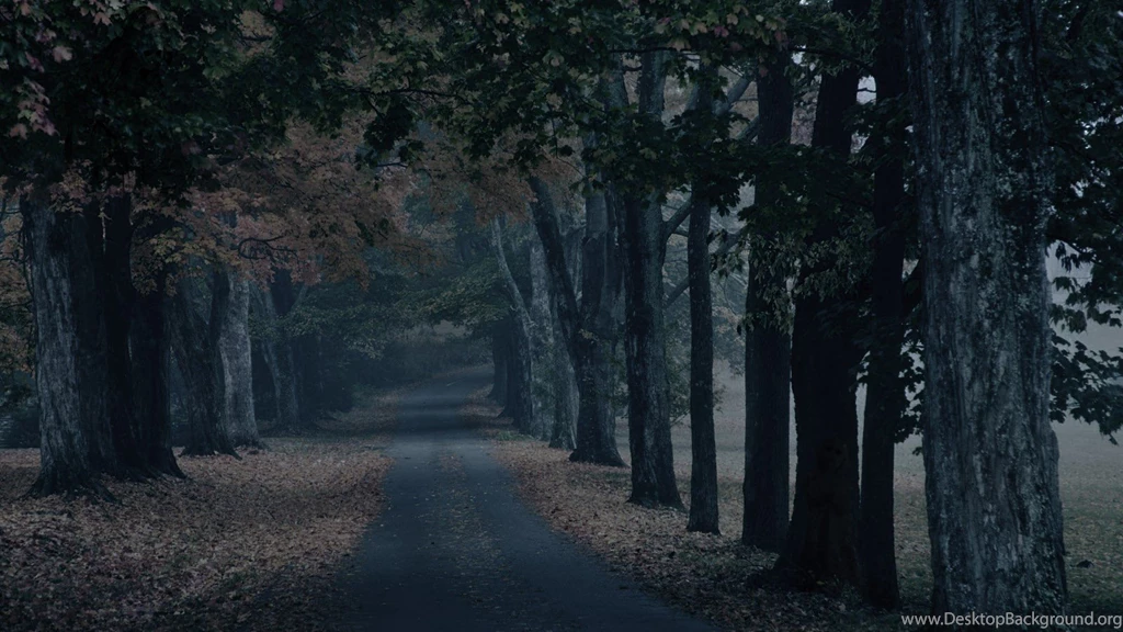 Creepy Forest Phantom Ghosts Ghost Blackhound
