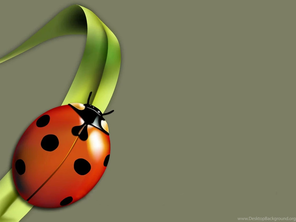 Love Bug >> HD Wallpaper, Get It Now!