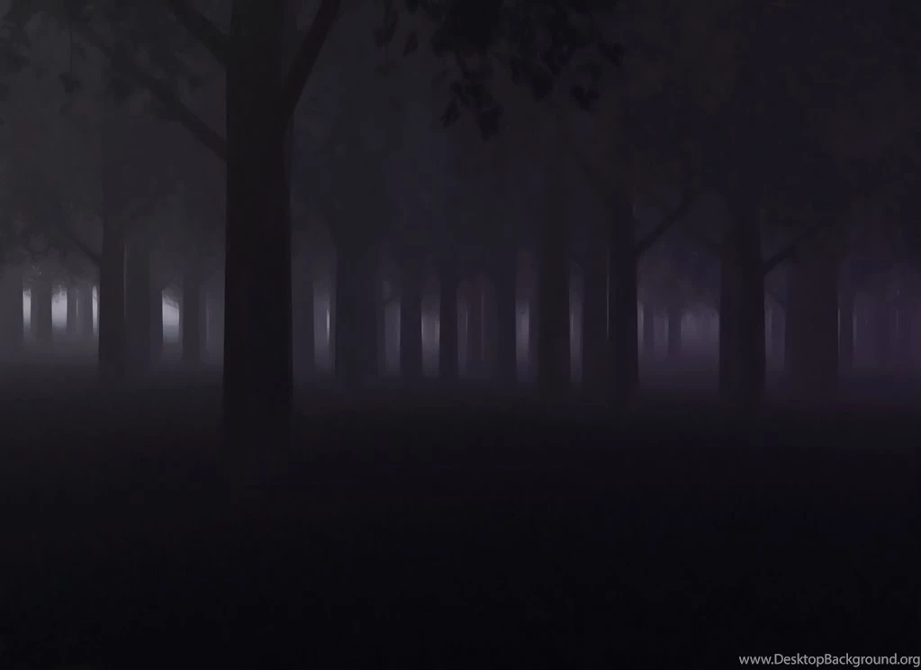 Creepy Forest By Mad Fool On DeviantArt