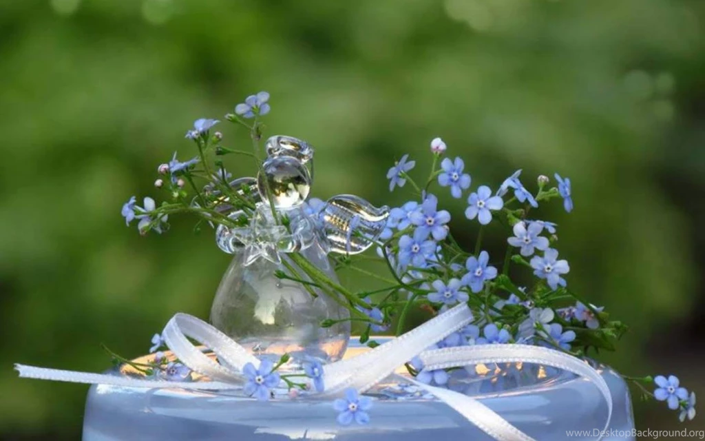 FORGET ME NOT WALLPAPER (
