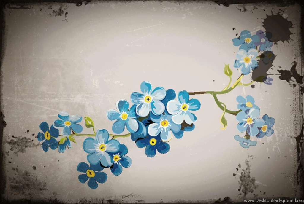 Forget Me Not Flowers Wallpapers