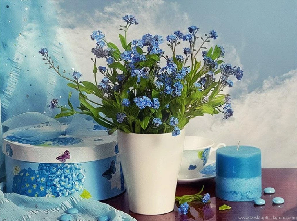 Forget Me Not (