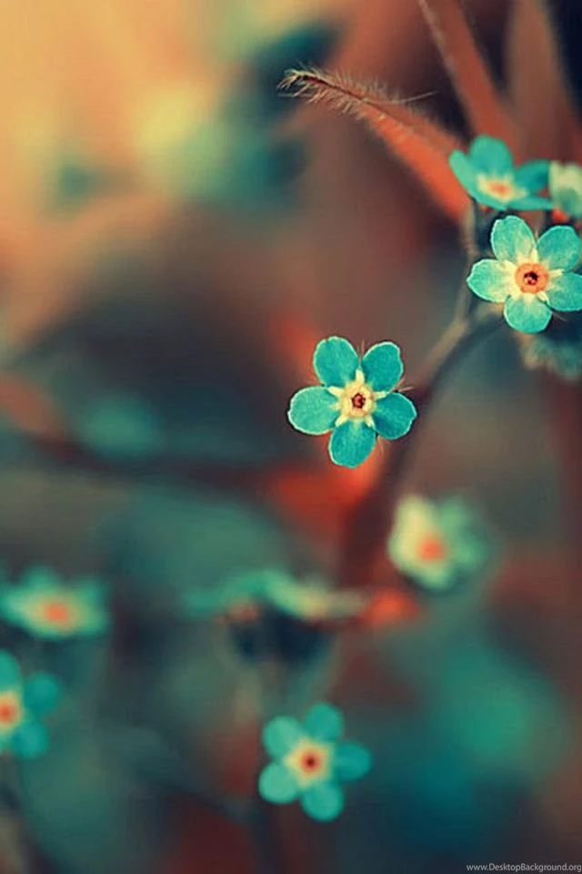 Iphone 5 Wallpapers Buscar Con Google