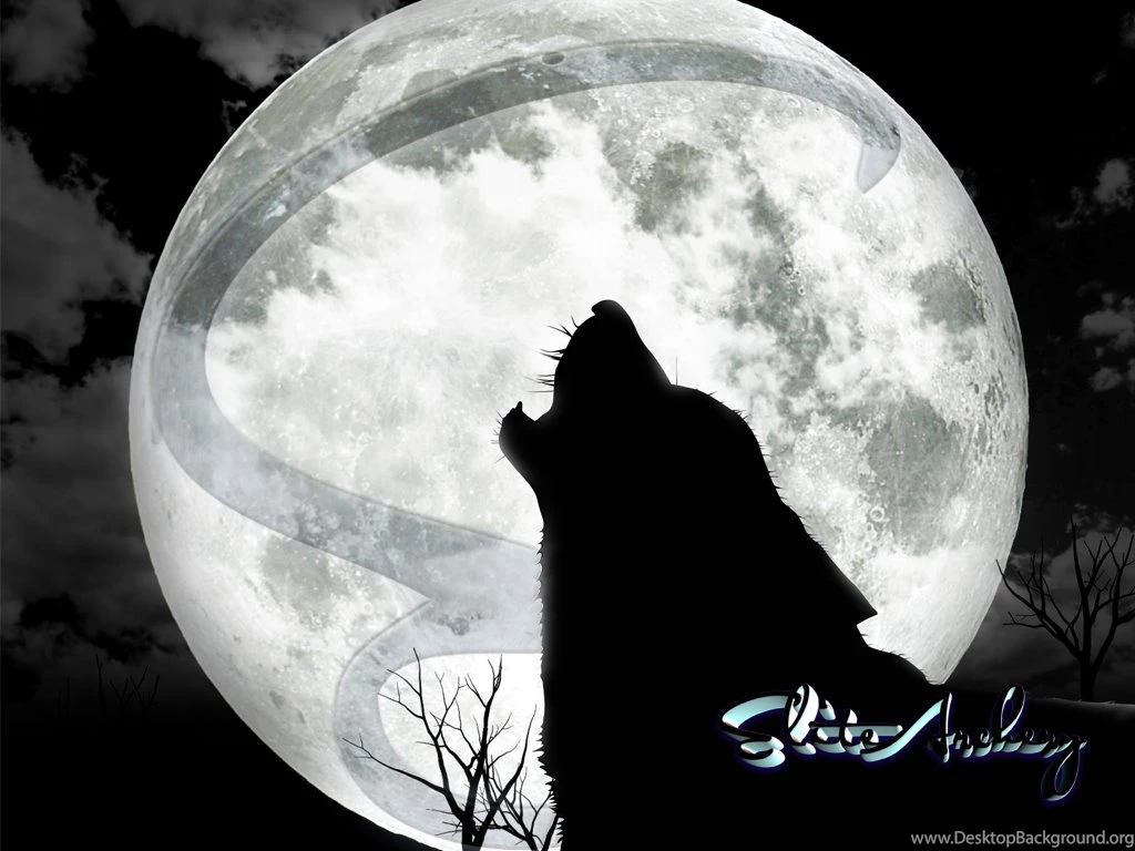 Elite Archery Wallpapers Wallpapers Zone