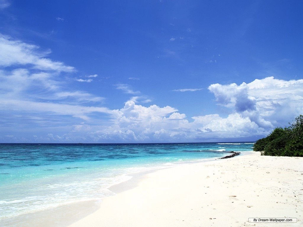 Free Wallpapers Free Nature Wallpapers Seaside Landscape 2 ...