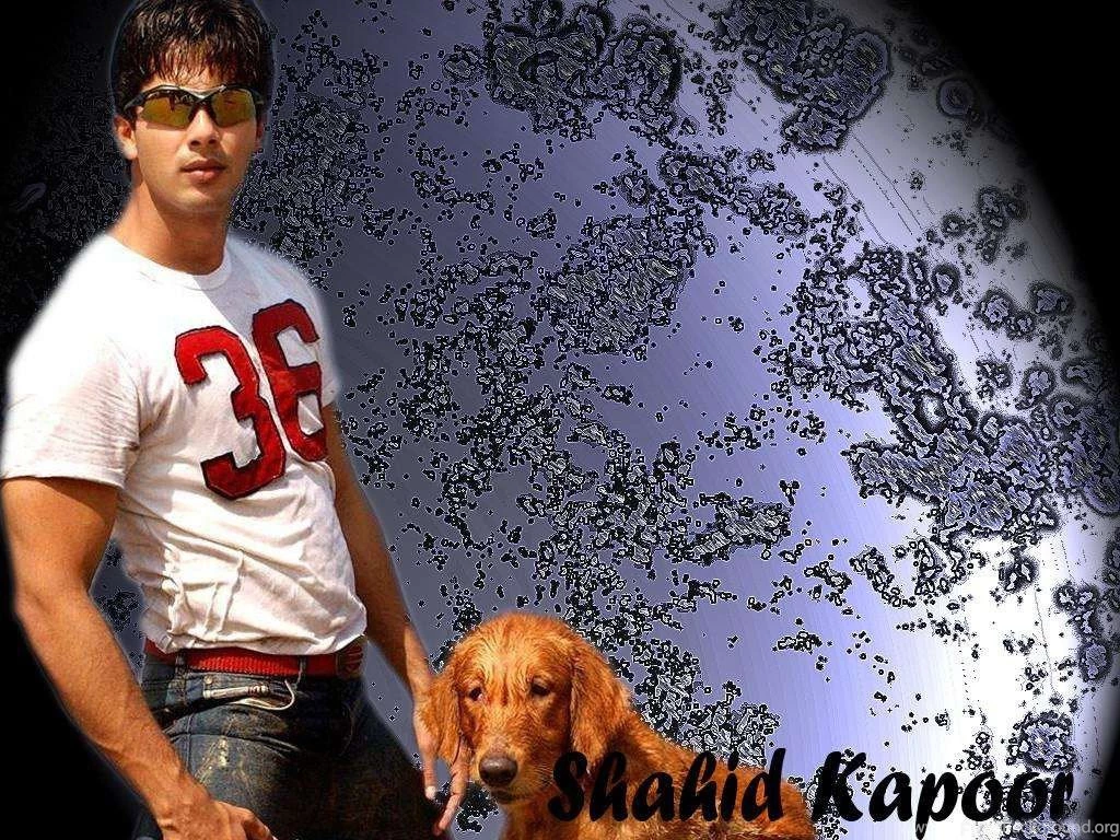 Shahid Kapoor Romentic Hd Pics Free Hd Wallpapers