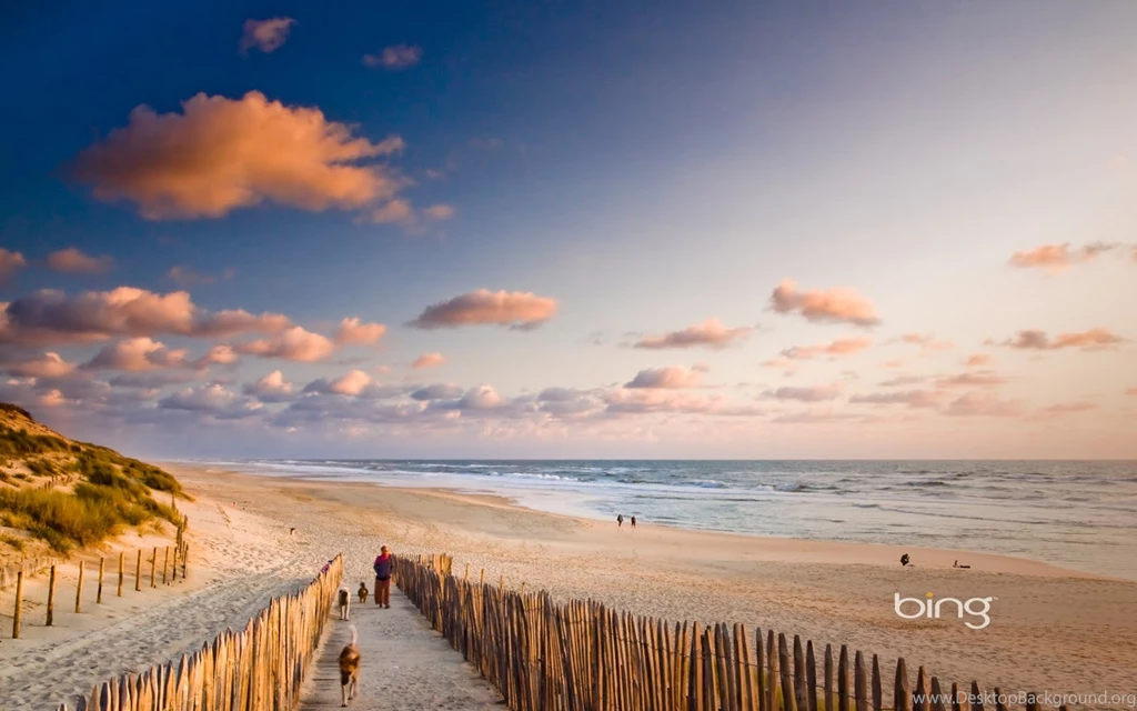 Free HD Wallpaper: Bing