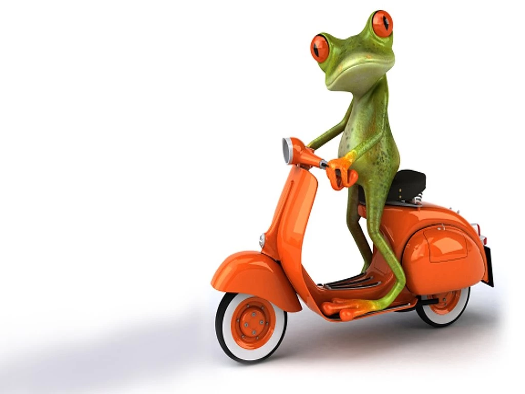 Colorful Frog Wallpapers And Backgrounds Free Download Planet ...