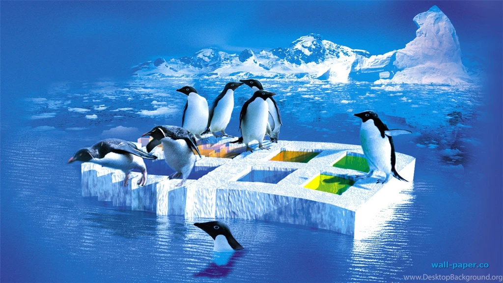 Family Penguins Ice Xmas New Year Attractions Dreams Blue Birds ...