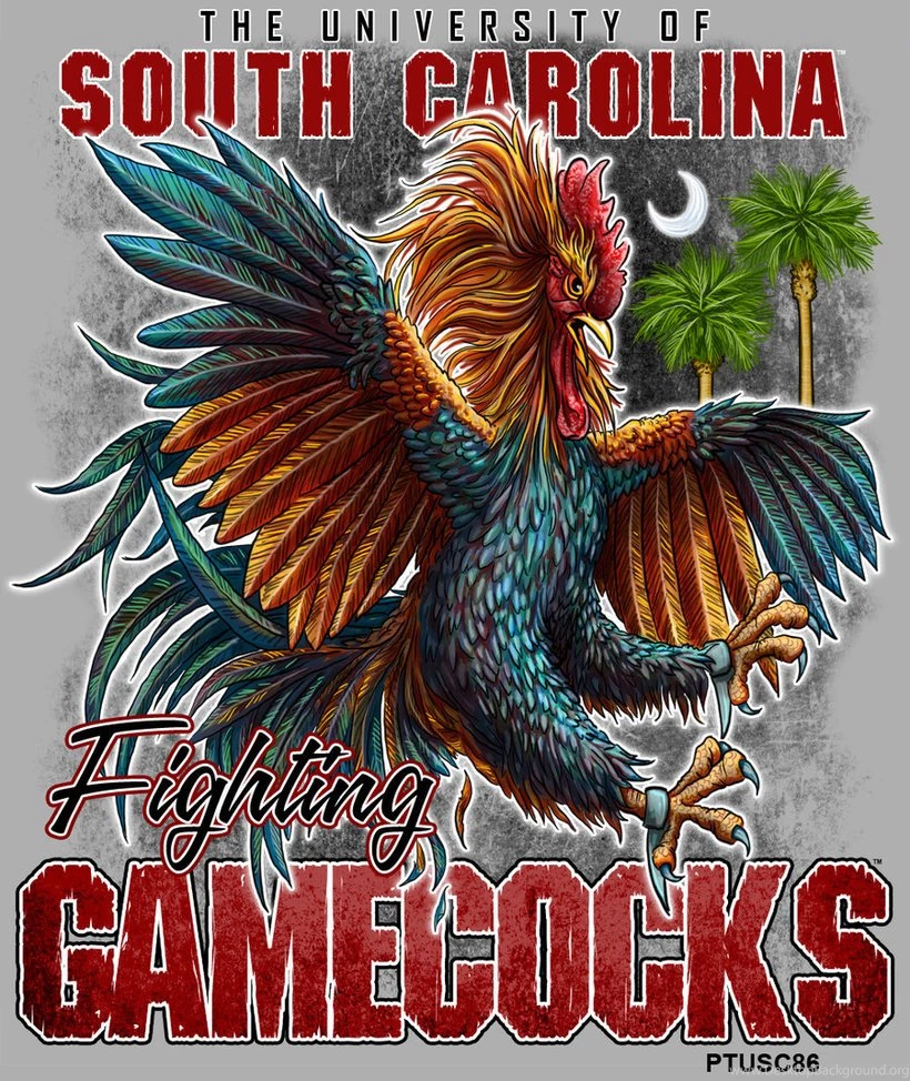 USC Fighting Gamecocks By Garryrone On DeviantArt