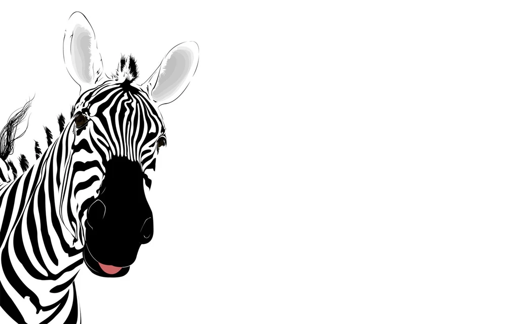 Zebra Desktop Wallpapers HD
