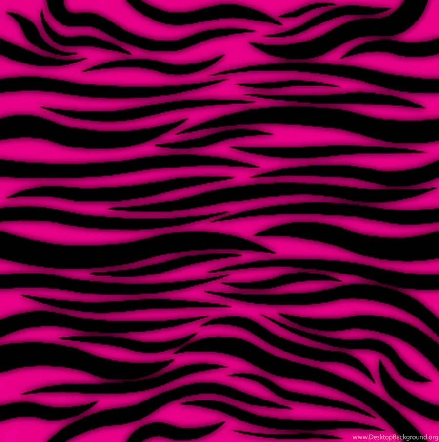 Pink And Black Zebra Wallpapers