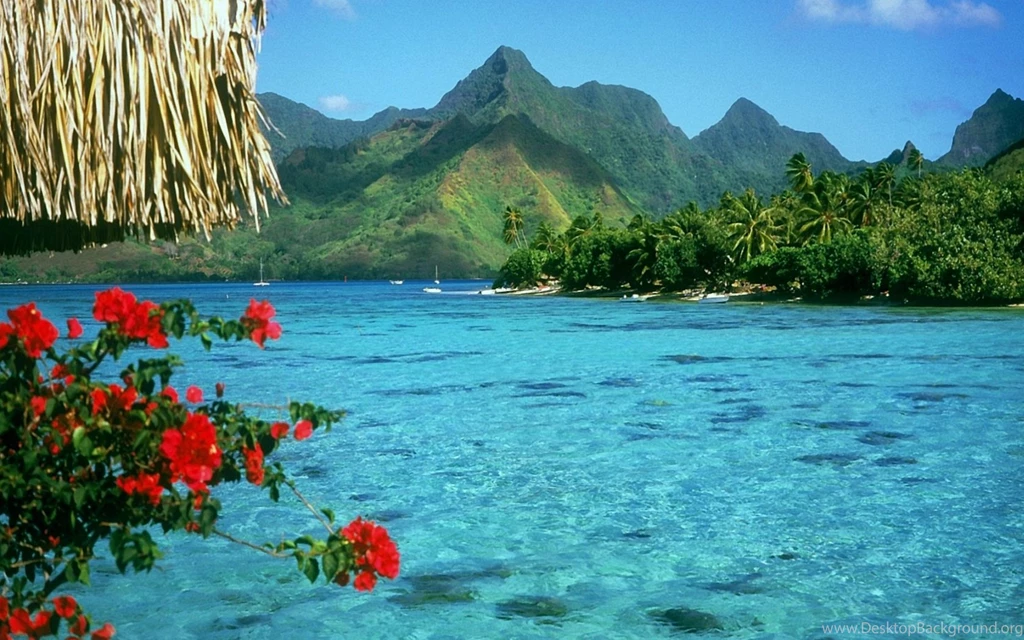 Blue Lagoon Wallpaper.