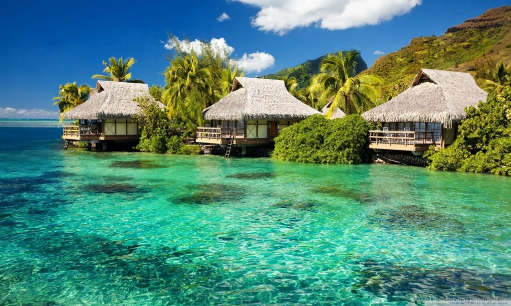 Tropical Lagoon Wallpapers