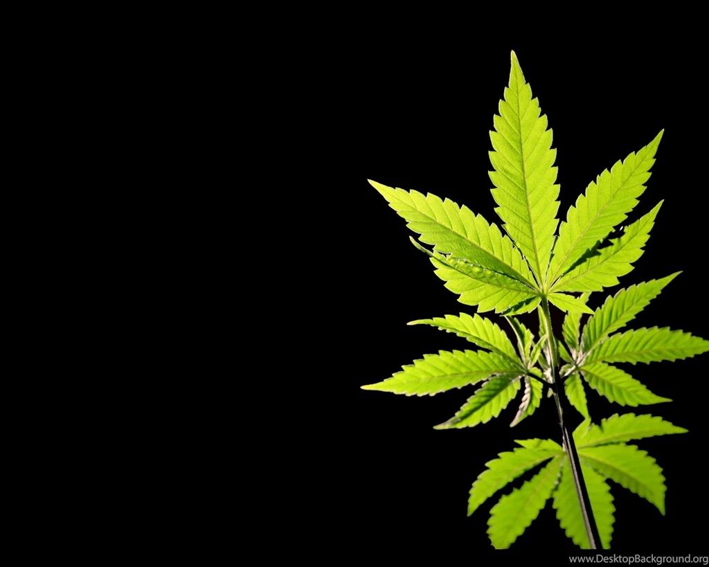 Pic New Posts: Weed Wallpapers Free