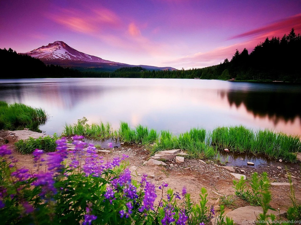 Beautiful Scenery Nature Cool Free Wallpapers For Desktop ...
