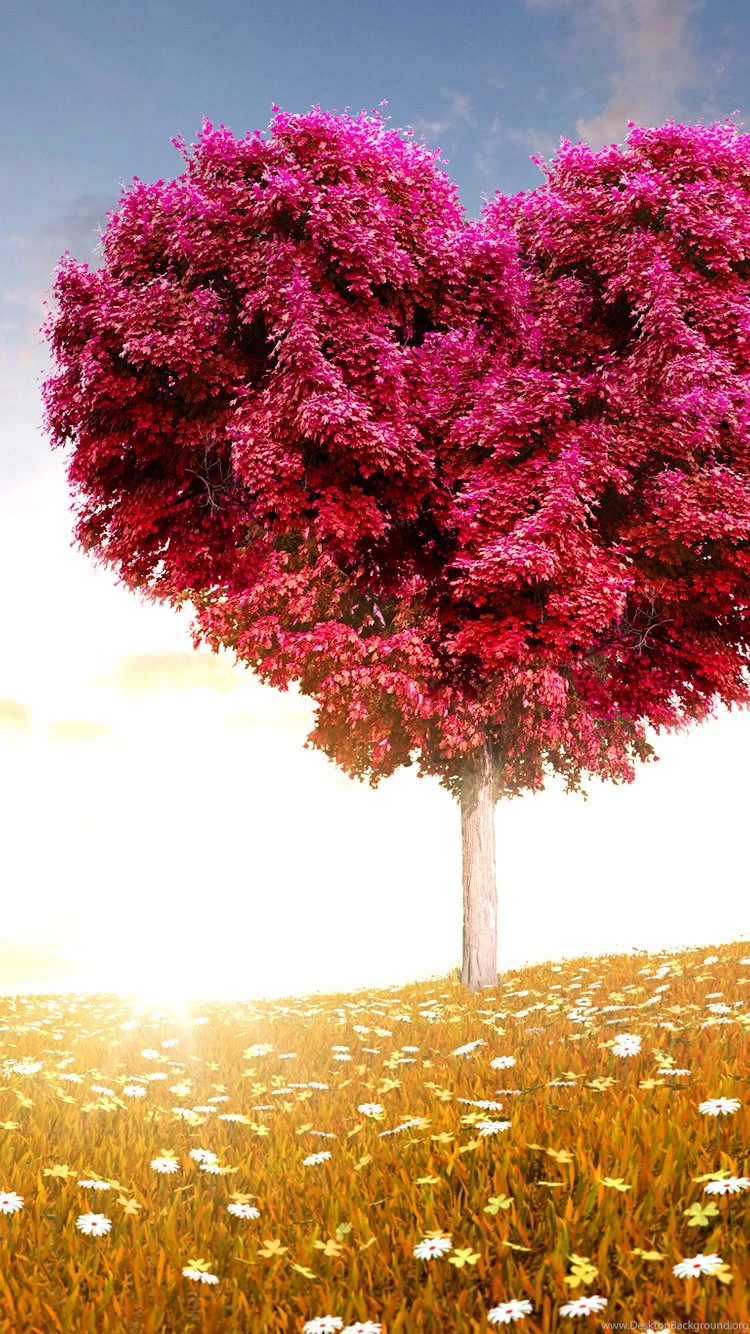 Iphone Wallpapers
