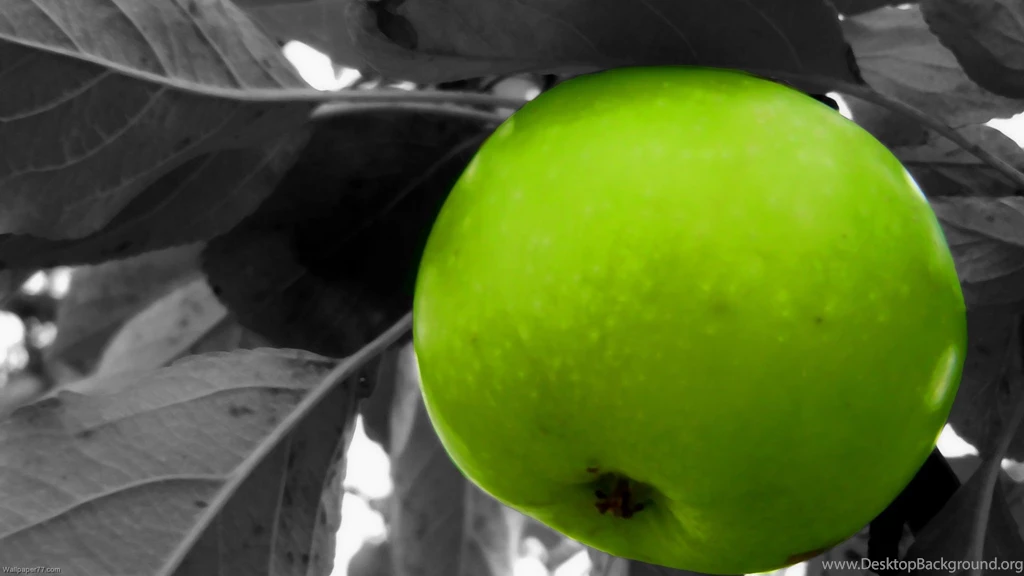 Desktop Fruits Green Apple Pics Wallpapers