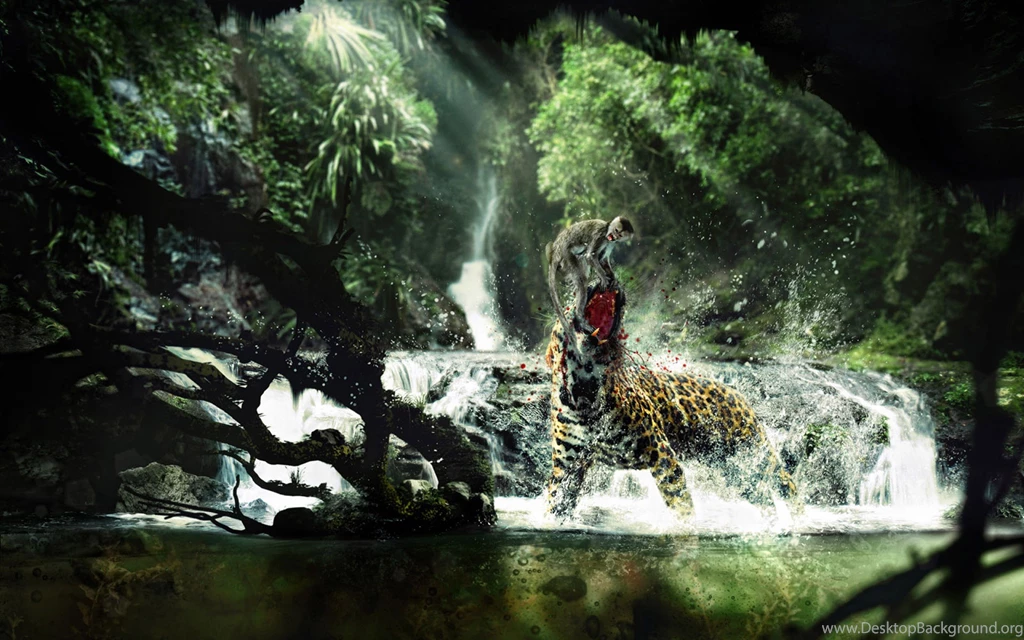 Wild Animals Life Jooti Wallpapers HD – HD Wallpapers
