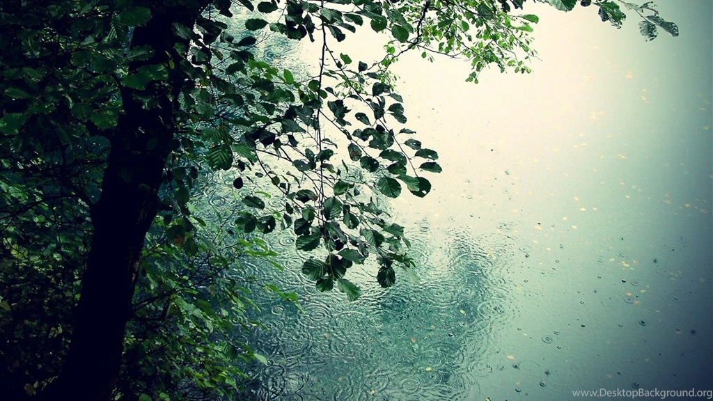 Summer Raindrops Close Up HD Desktop Wallpapers 07 1366x768 ...
